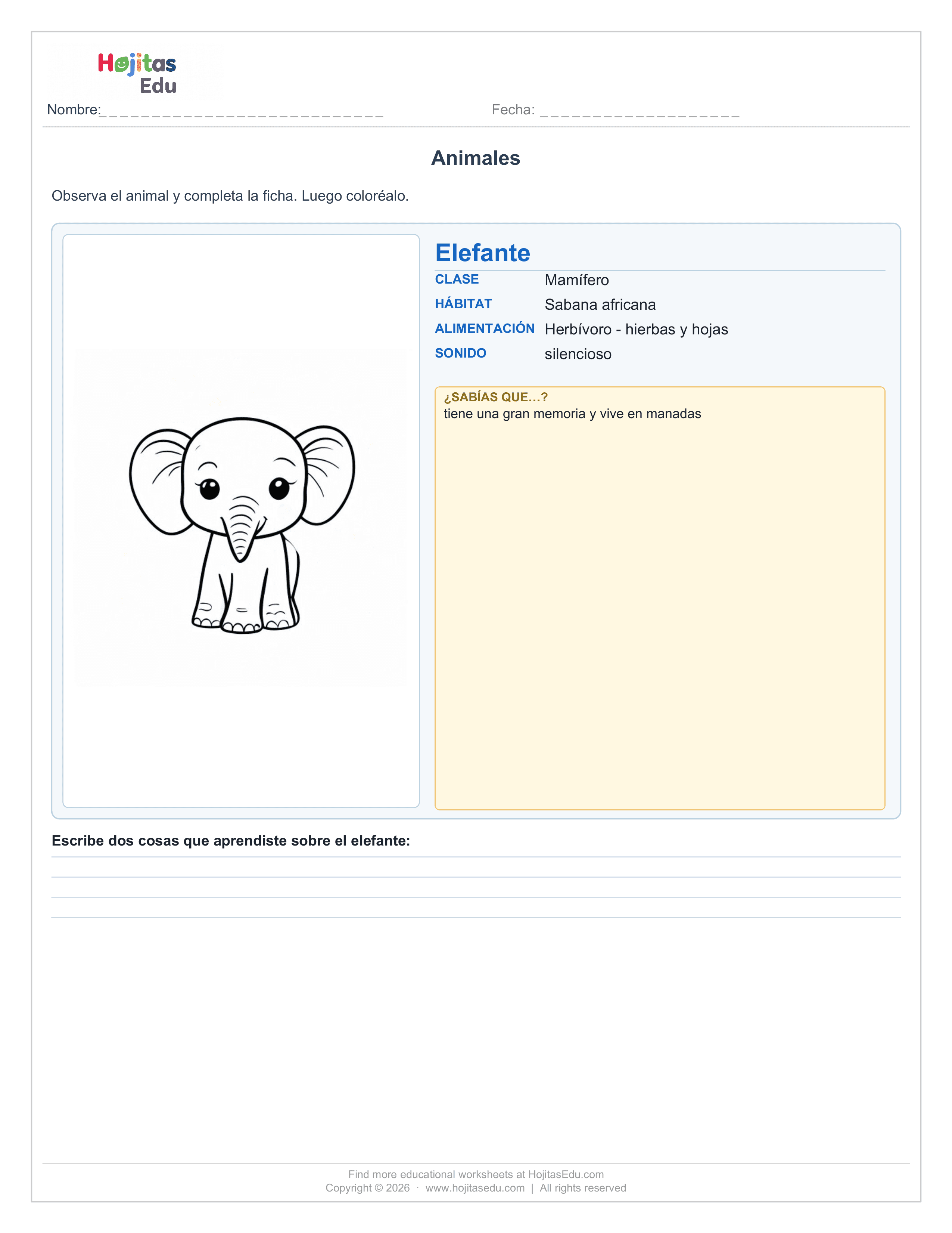Animal Elefante