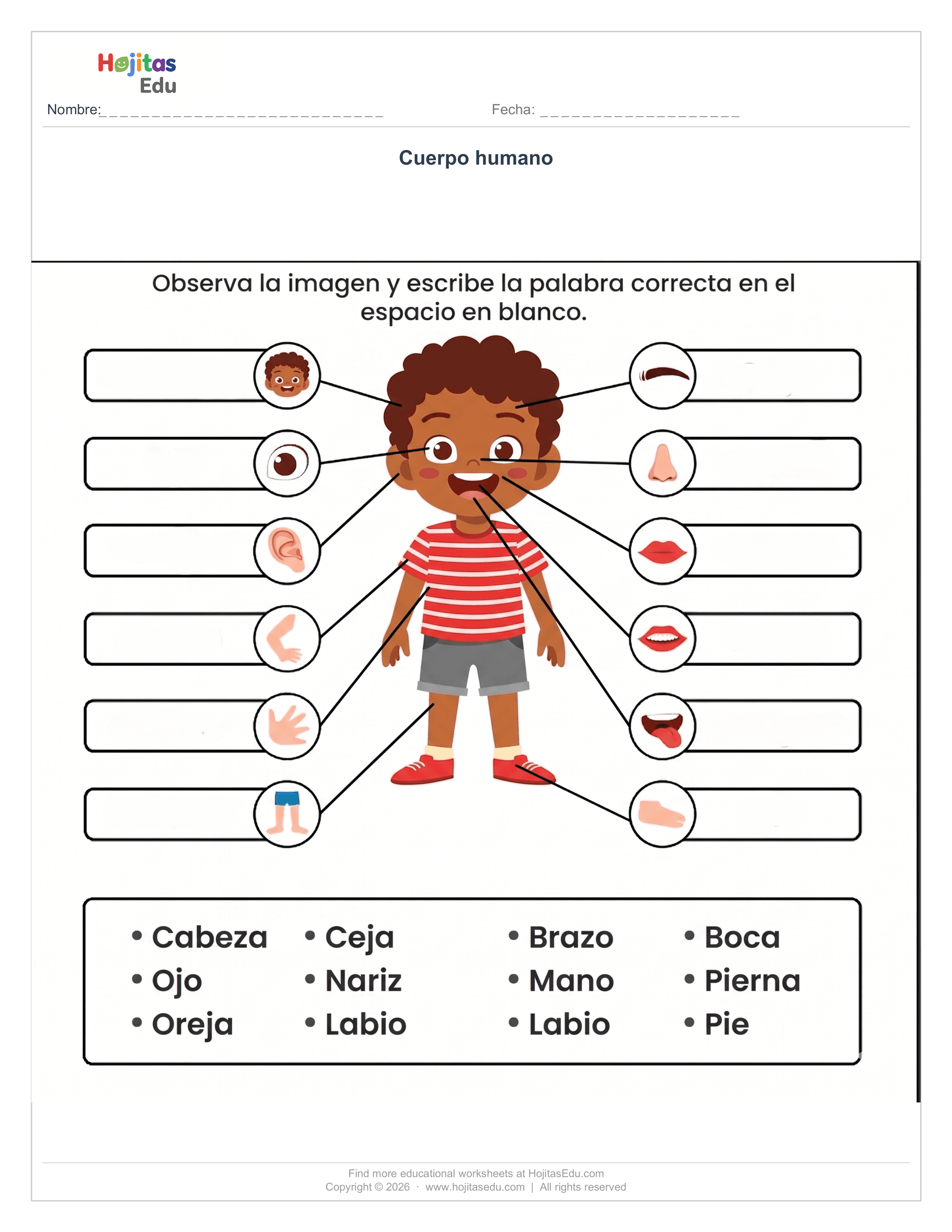 Partes del cuerpo