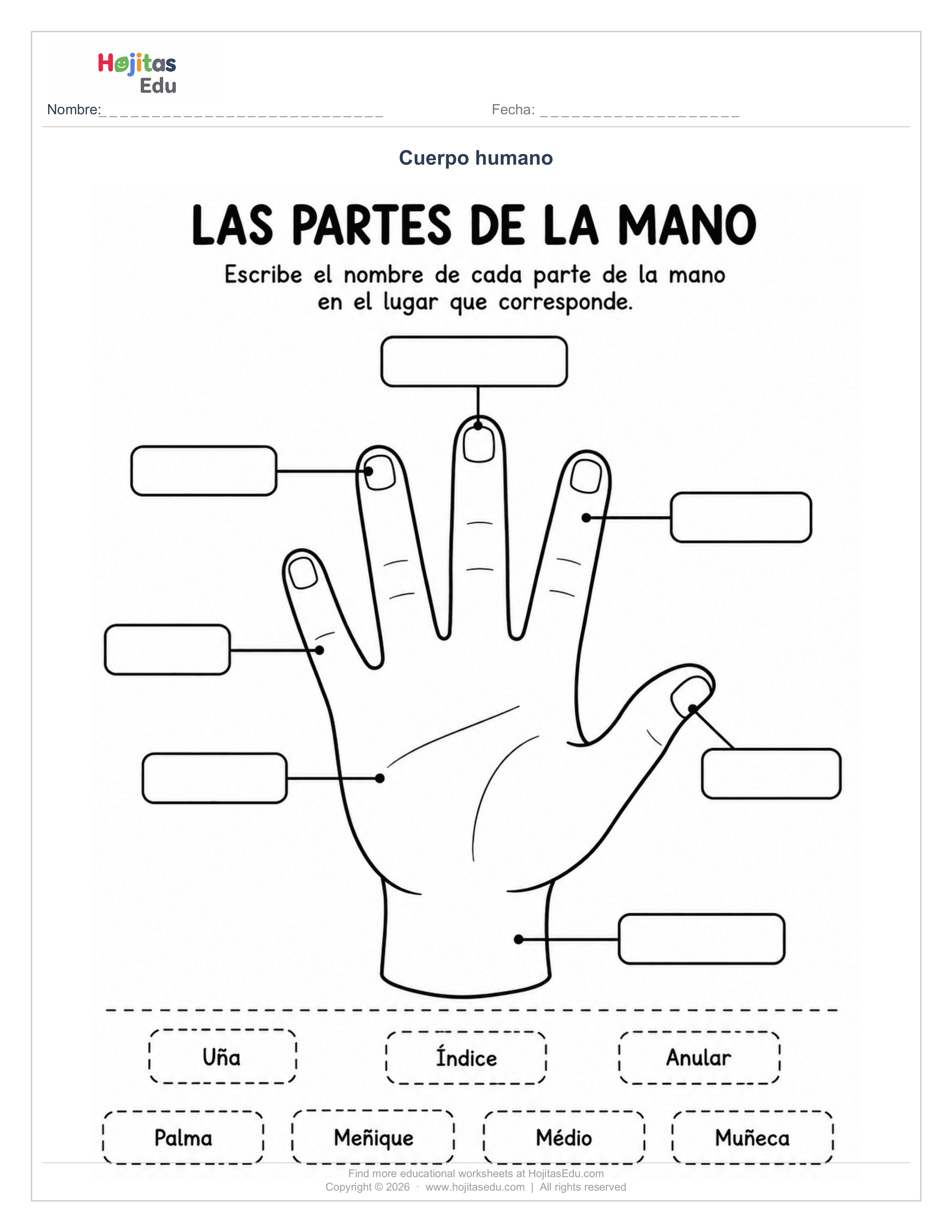 Partes de la Mano