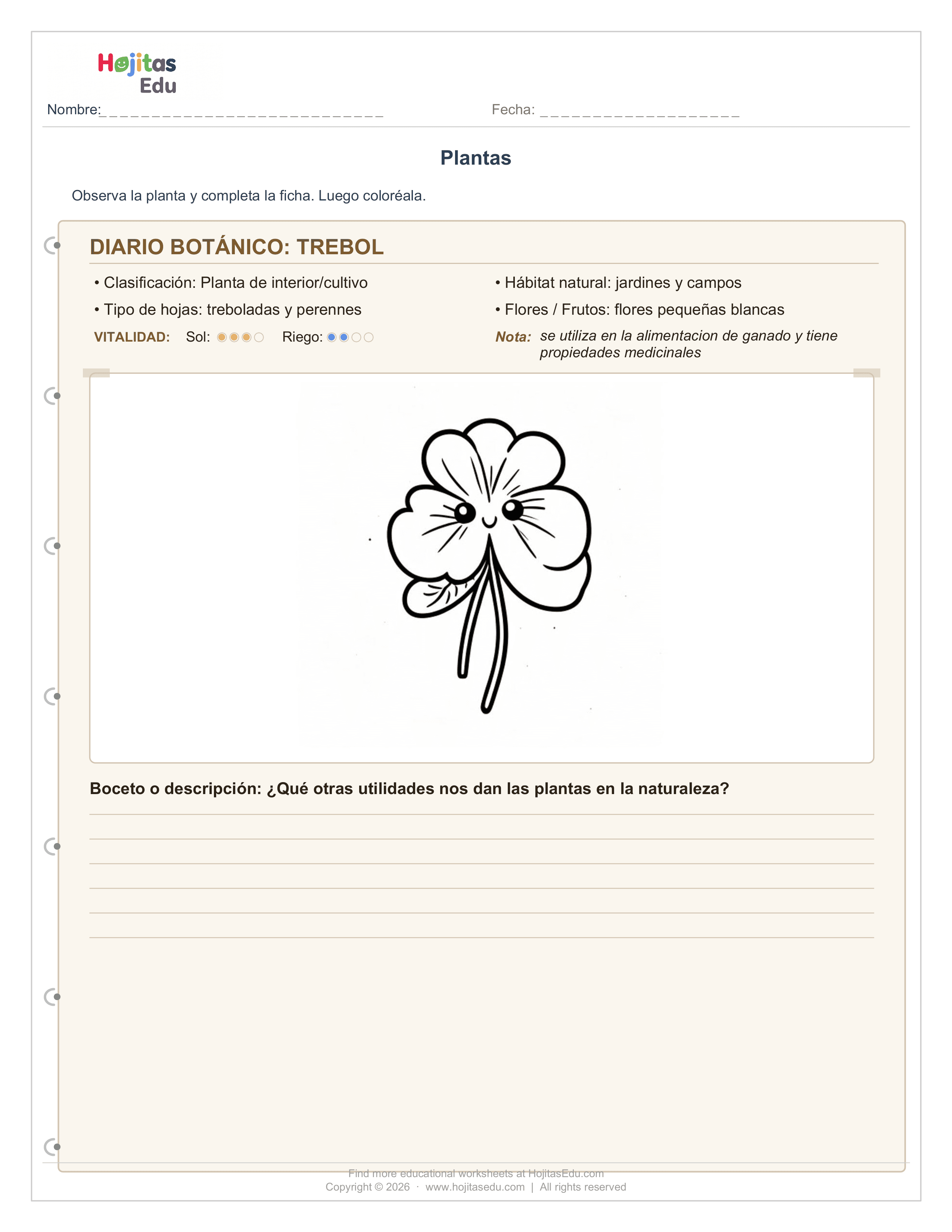 Planta Trebol